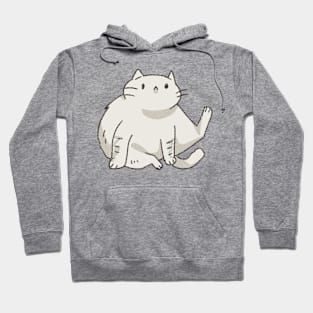 Fluffy cat Hoodie